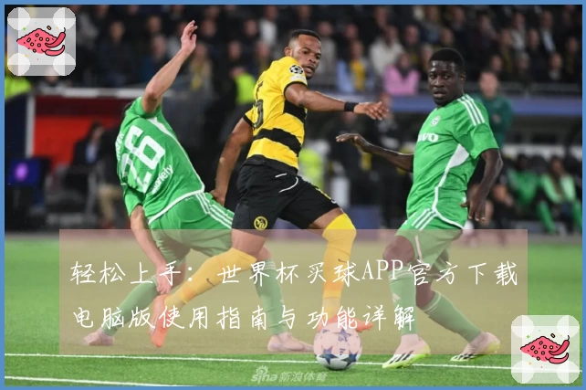 轻松上手：世界杯买球APP官方下载电脑版使用指南与功能详解