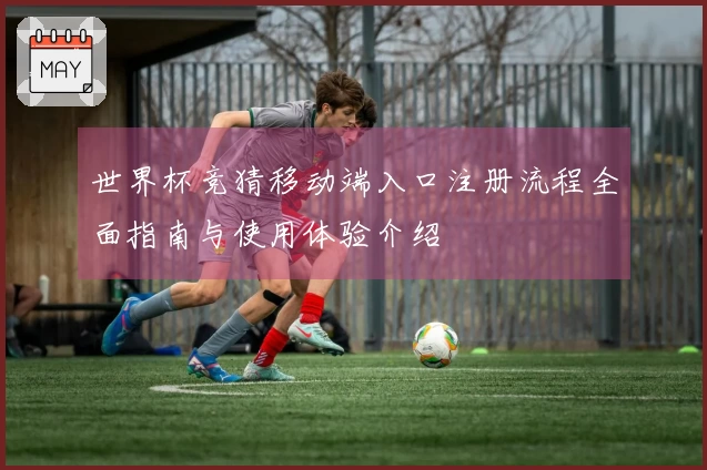 世界杯竞猜移动端入口注册流程全面指南与使用体验介绍