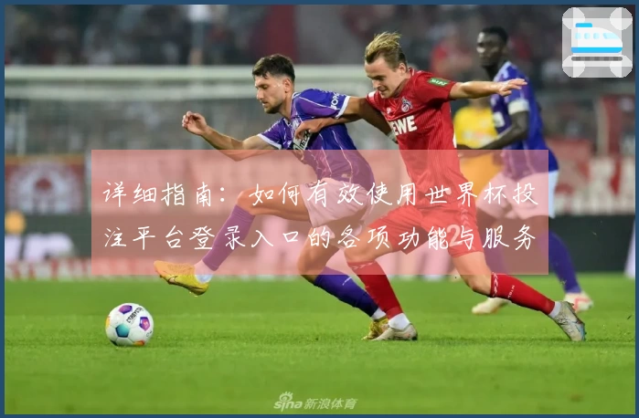 详细指南：如何有效使用世界杯投注平台登录入口的各项功能与服务