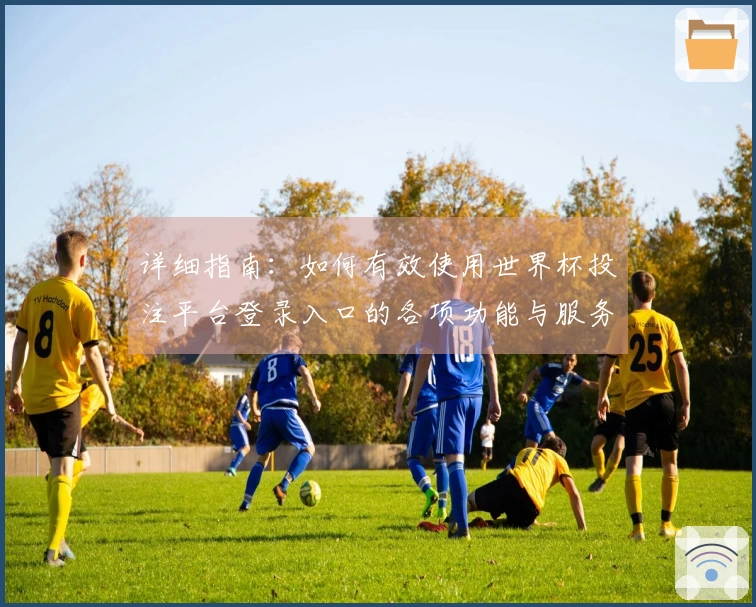 详细指南：如何有效使用世界杯投注平台登录入口的各项功能与服务