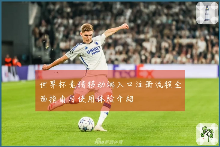 世界杯竞猜移动端入口注册流程全面指南与使用体验介绍