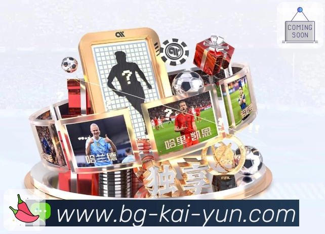 <strong>开云</strong>APP界面展示